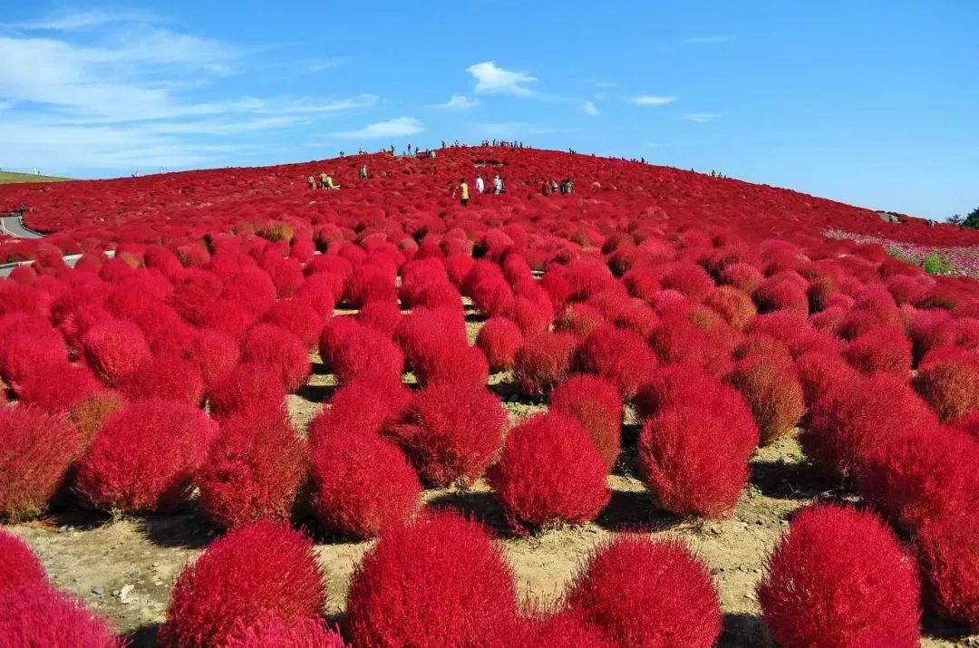 潜派旅行