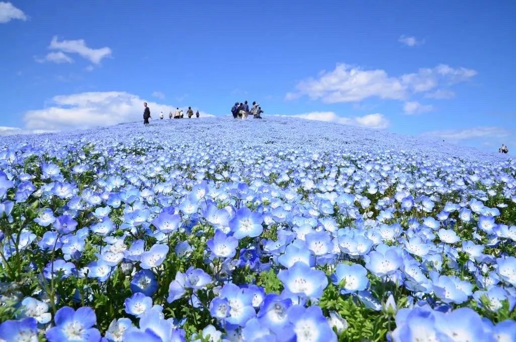 潜派旅行