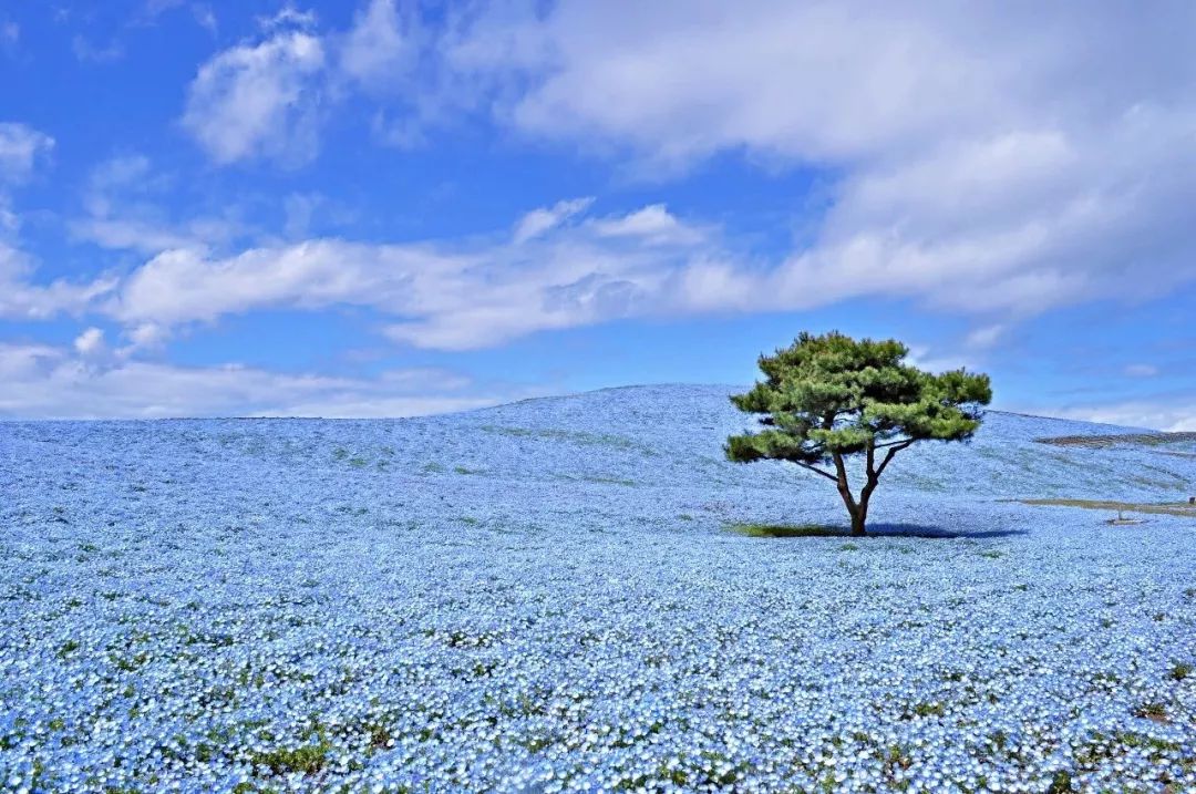 潜派旅行