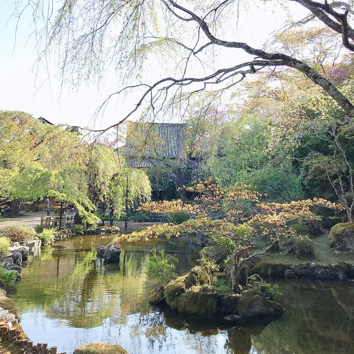潜派旅行