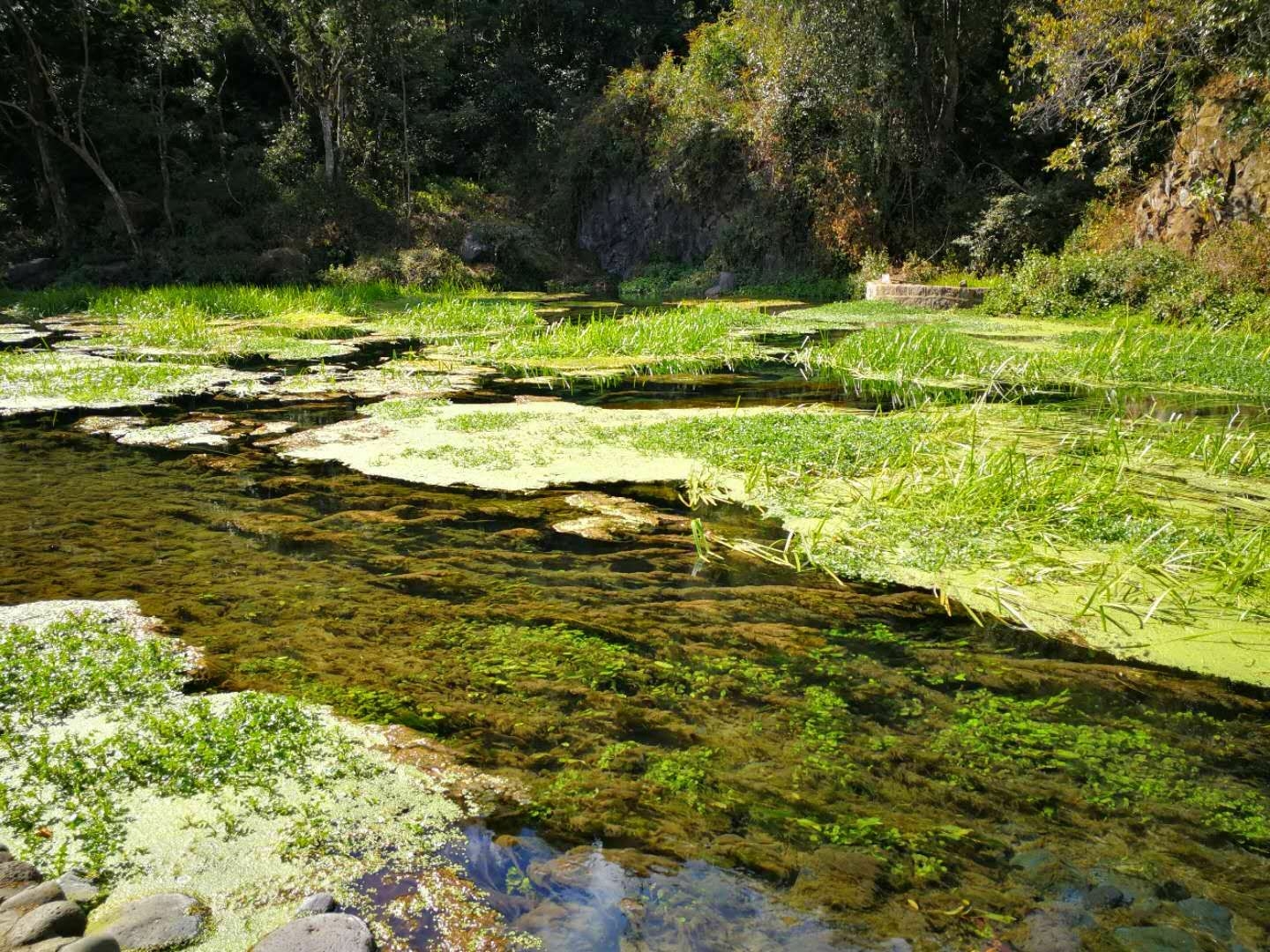 火山公园～黑鱼河公园,腾冲旅游攻略 - 马蜂窝