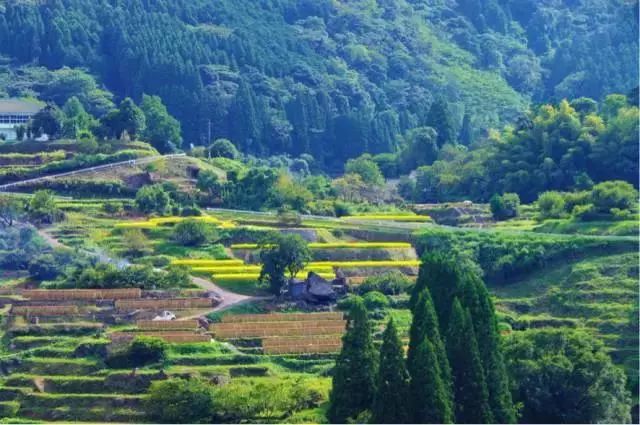 潜派旅行