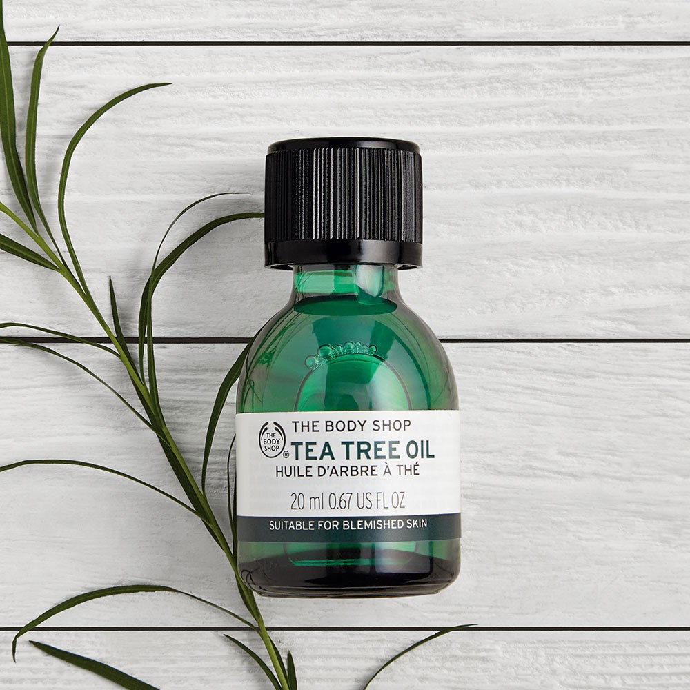 多位明星推荐的大神级产品--茶树精油tea tree oil