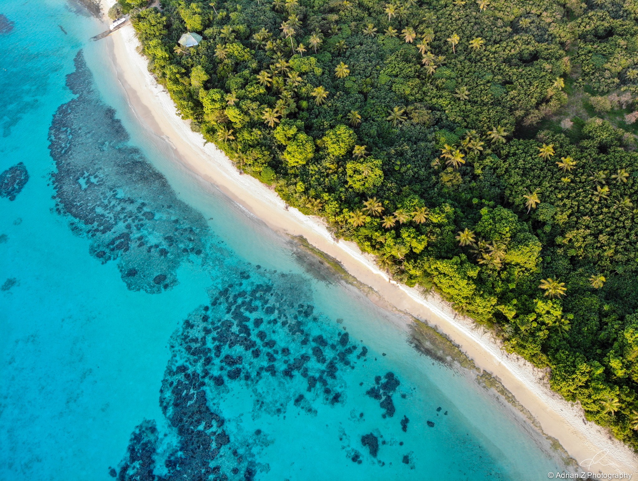 汤加王国，一场与母子大翅鲸的温情相遇——AdrianZ作品_游记