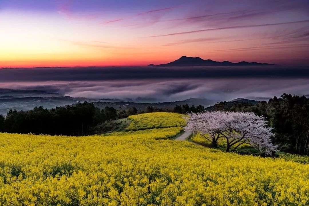 潜派旅行