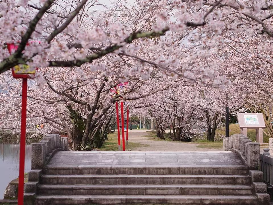 潜派旅行