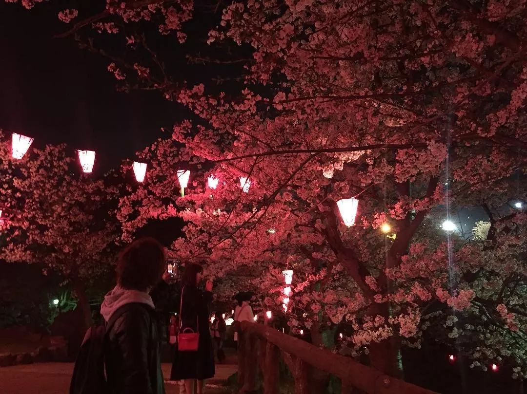 潜派旅行