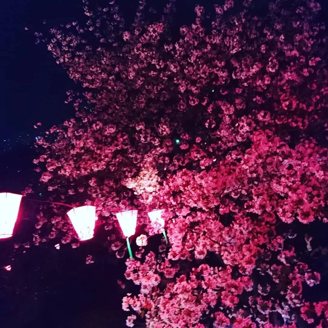 潜派旅行