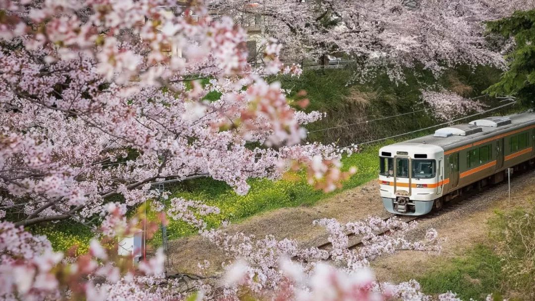 潜派旅行