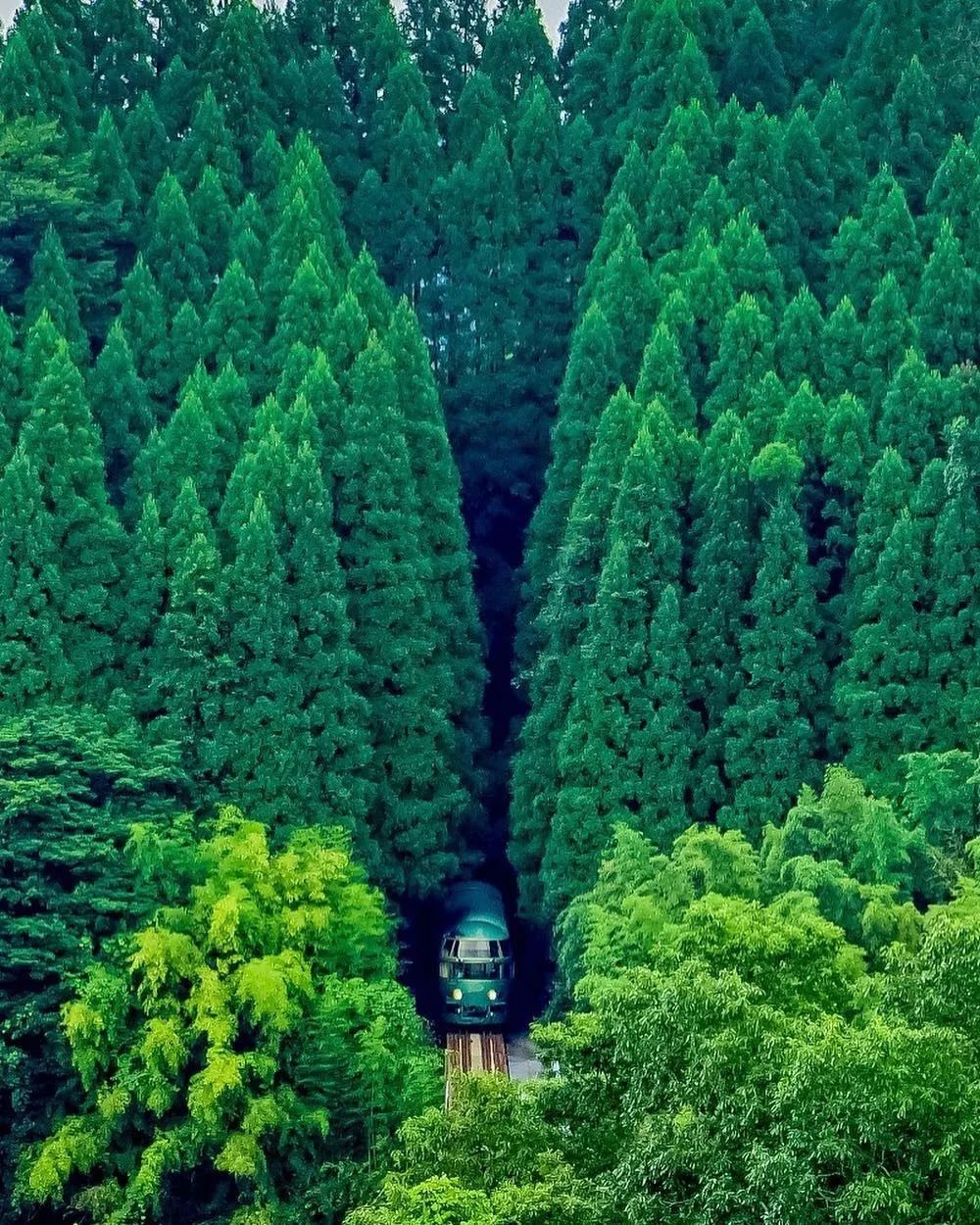 潜派旅行