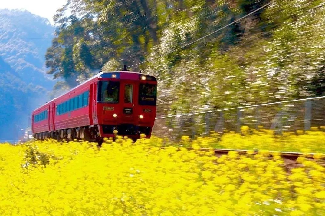 潜派旅行
