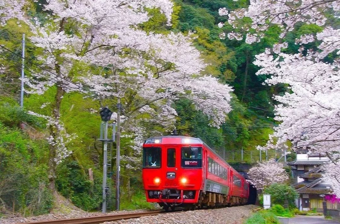 潜派旅行