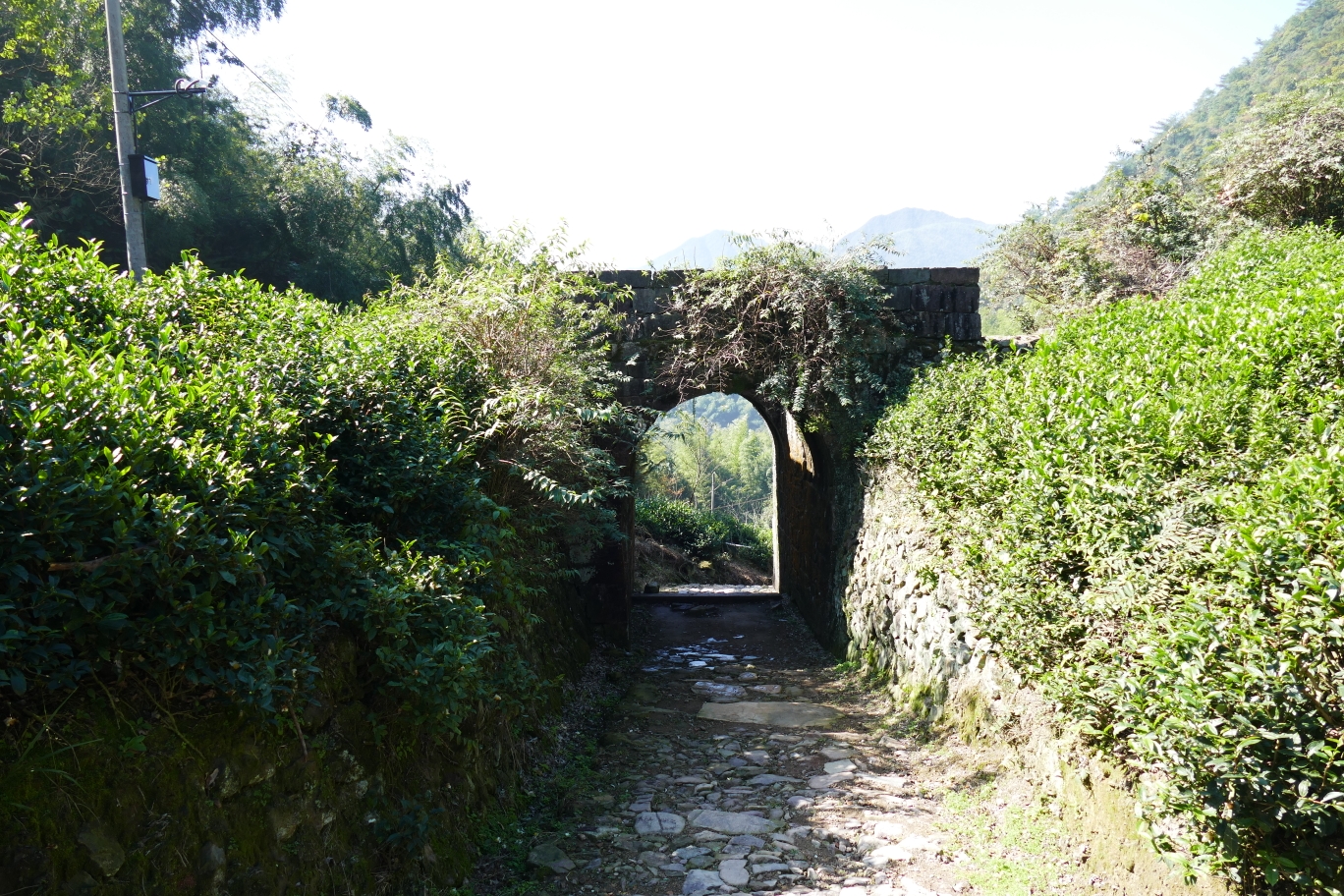 浙江 衢州 江山 戴笠故居 仙霞古道 廿八都