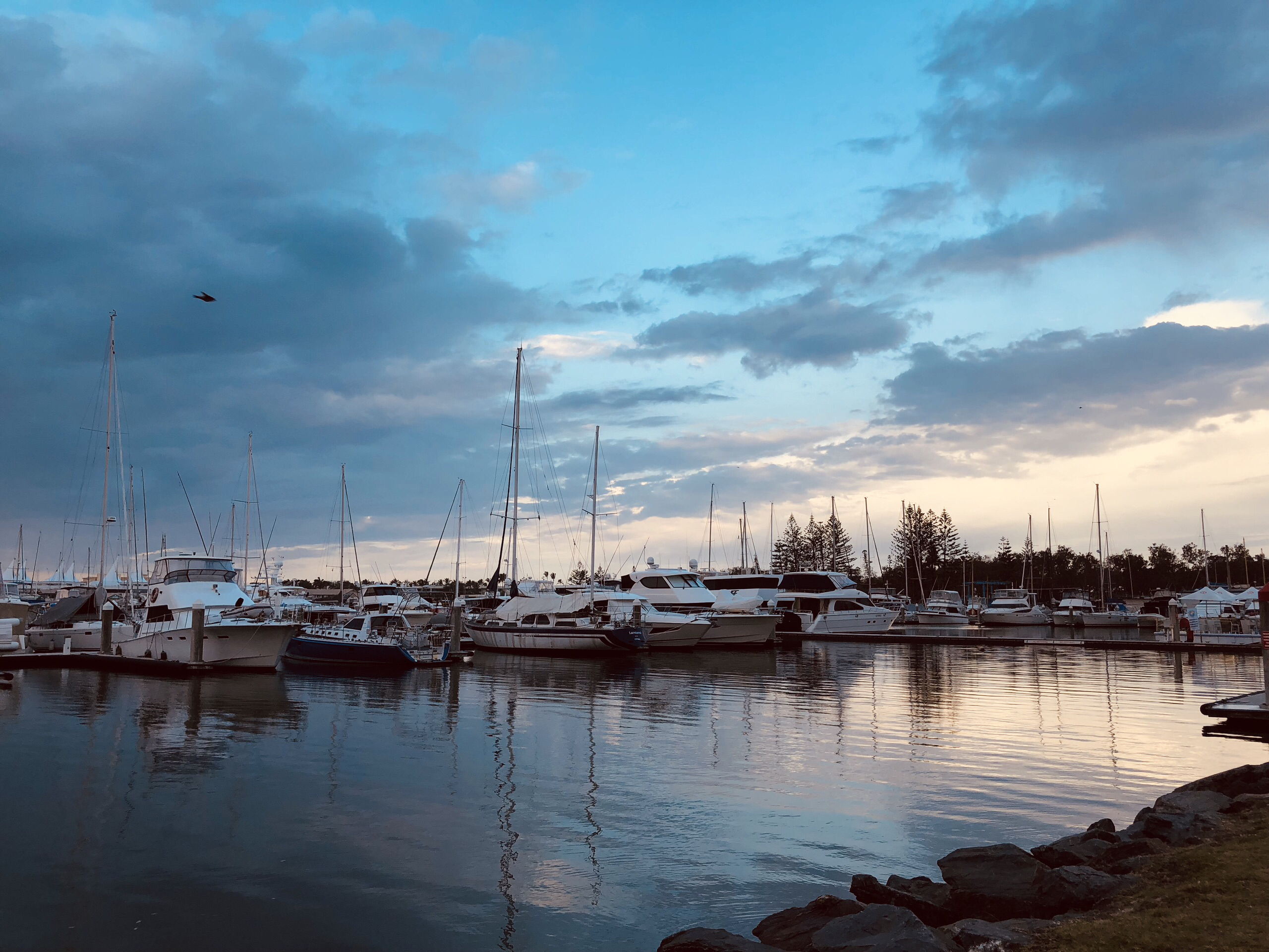 黄金海岸（澳大利亚）美食-Yacht Club