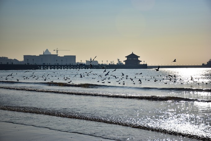 青岛一日游该去哪玩，青岛一日游怎么玩，青岛一日游攻略 