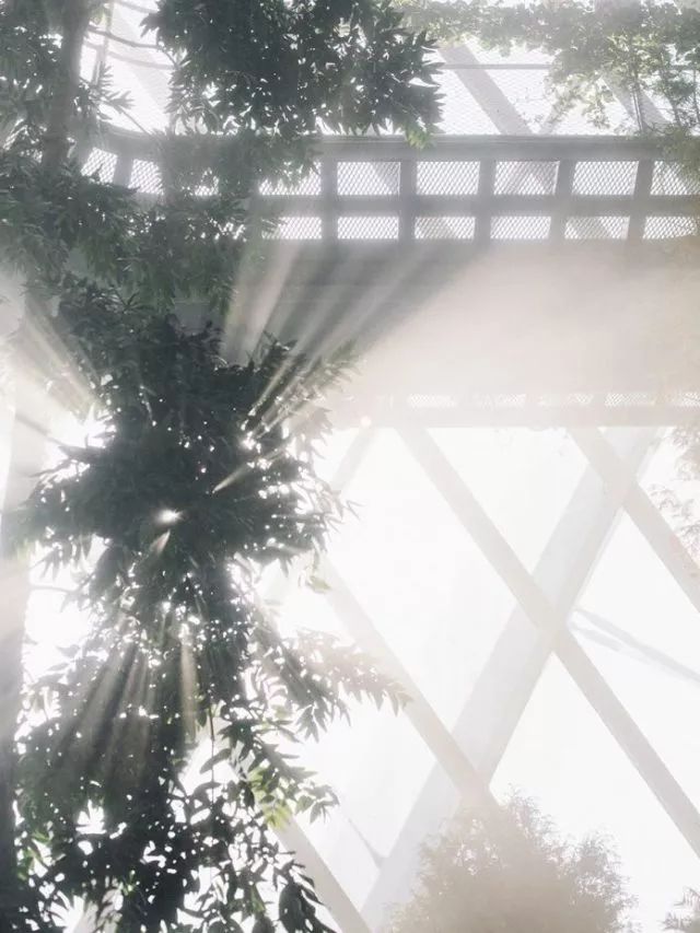 潜派旅行
