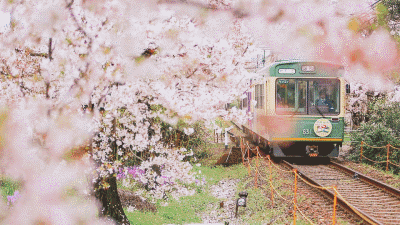潜派旅行