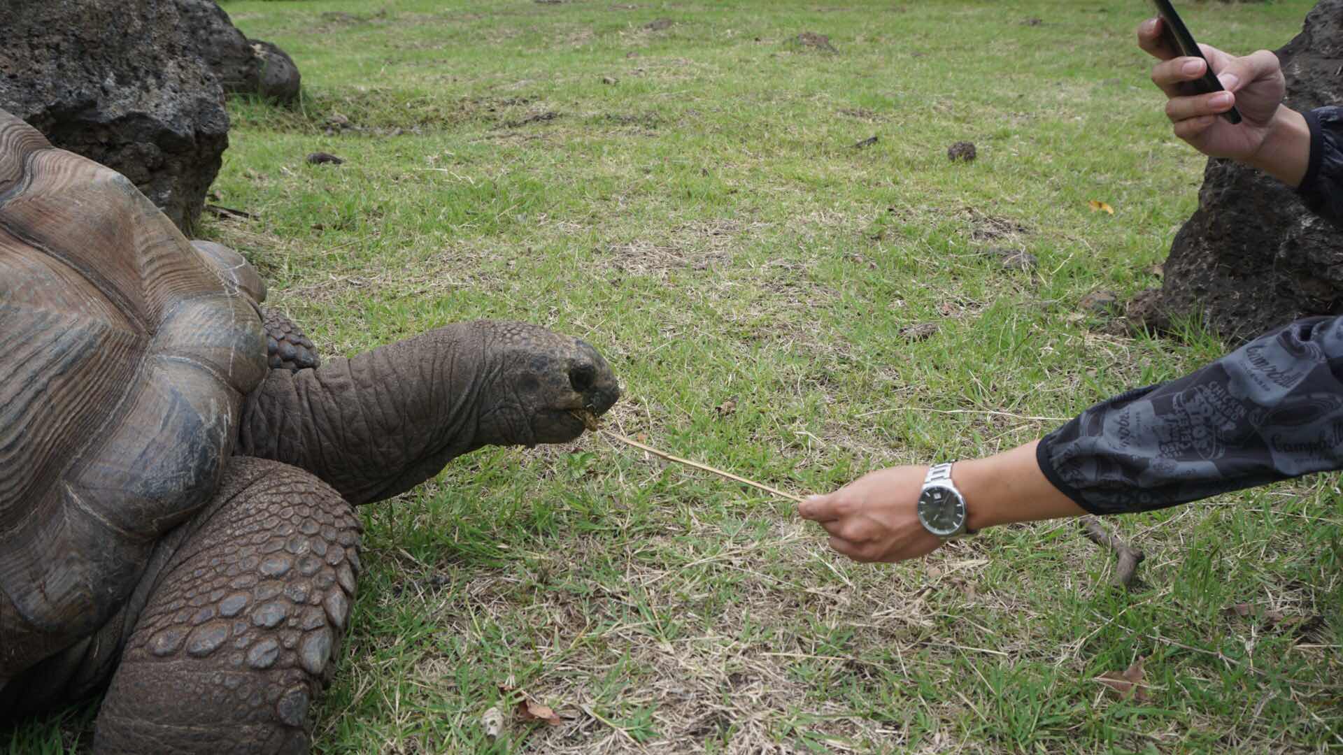 潜派旅行