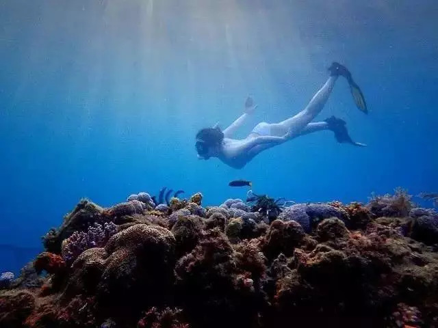 潜派旅行