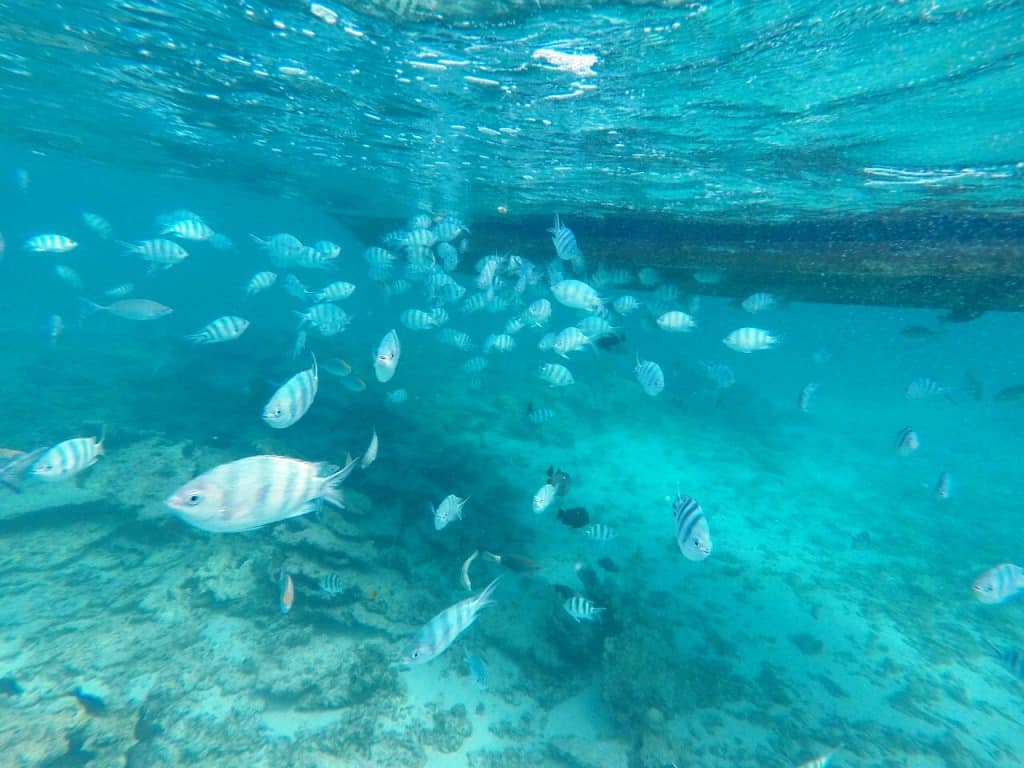 潜派旅行