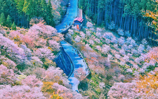 潜派旅行