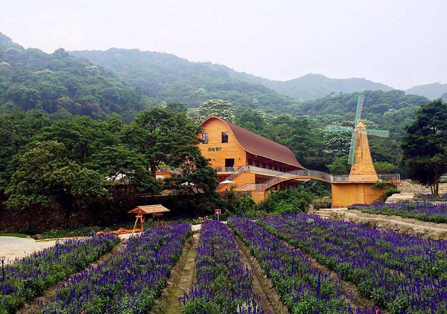 广州增城二龙山花园大门票/玻璃桥套票/二龙山薰衣草森林世界