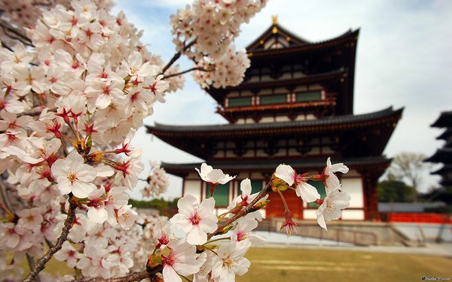 潜派旅行