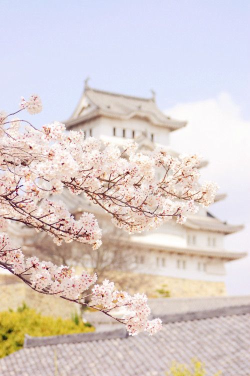 潜派旅行