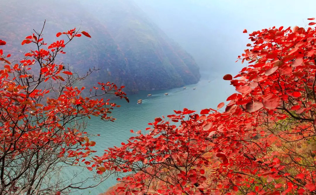 三峡沿江秋景已熟透,一路应季美食吃不停!