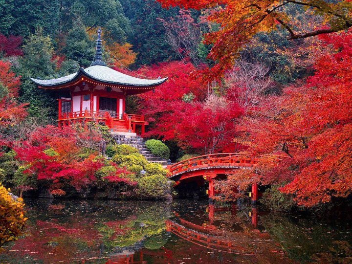 潜派旅行