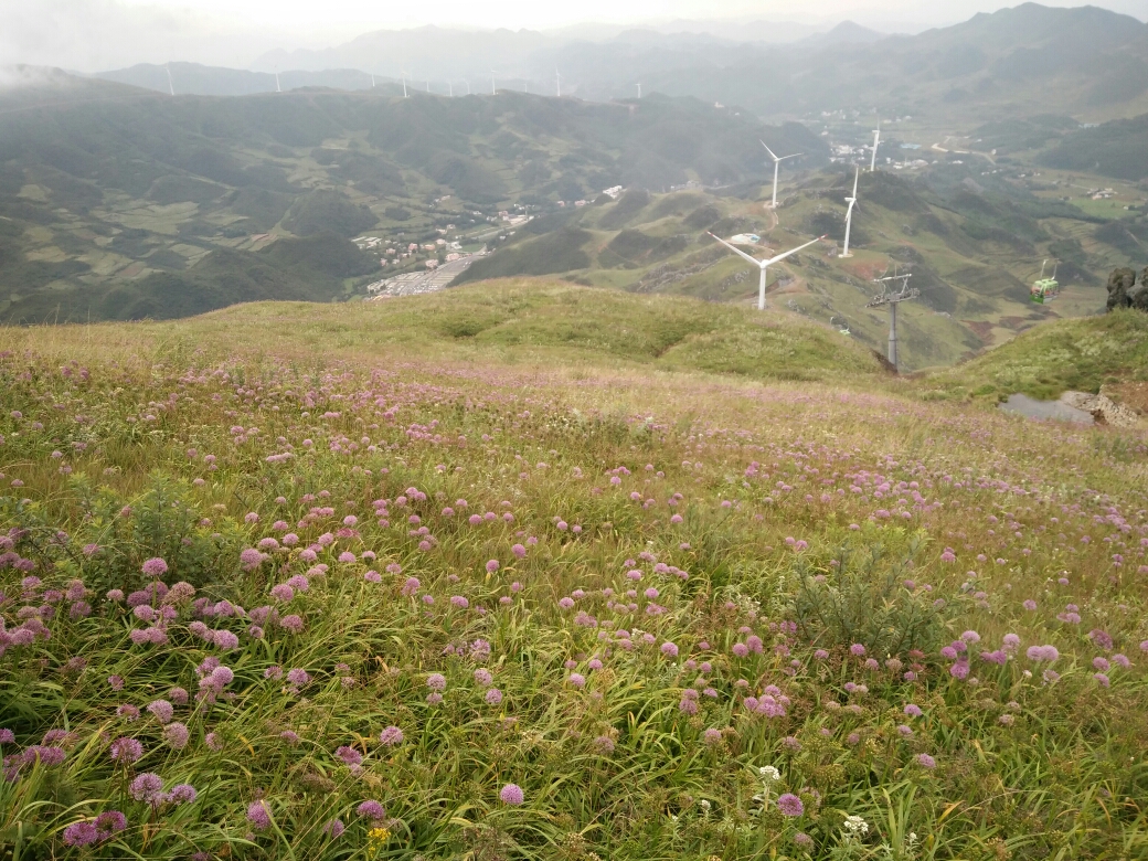 9.7-8游览贵州毕节韭菜坪