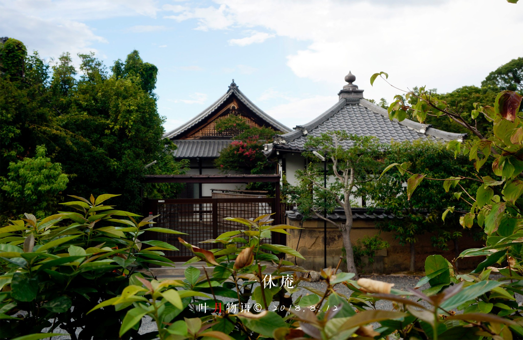 京都一休庵点评 一休庵地址 电话 人均消费 京都餐厅 马蜂窝