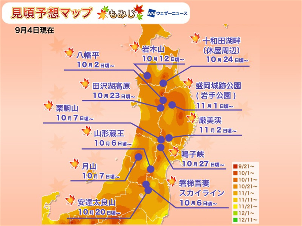 潜派旅行