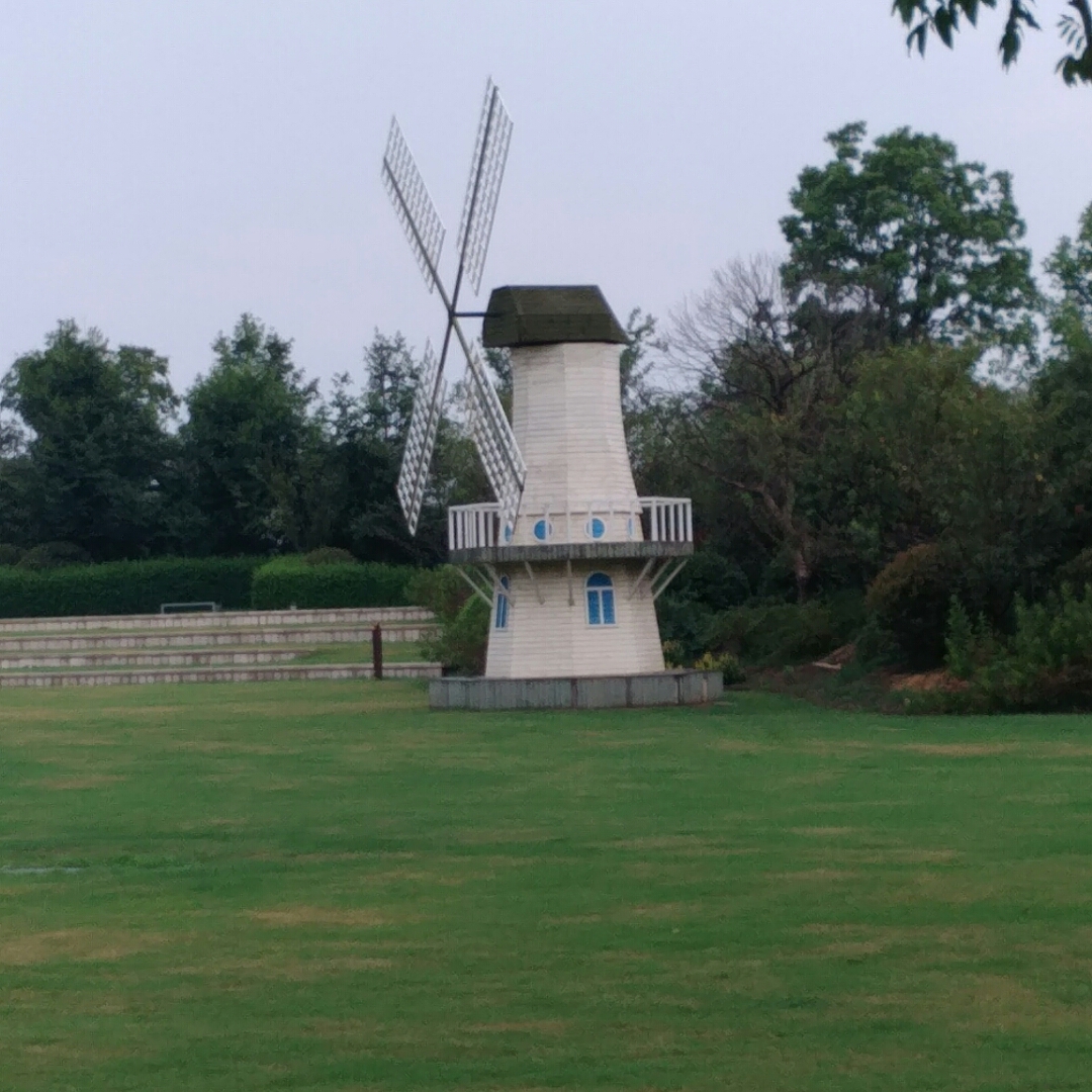 小熊