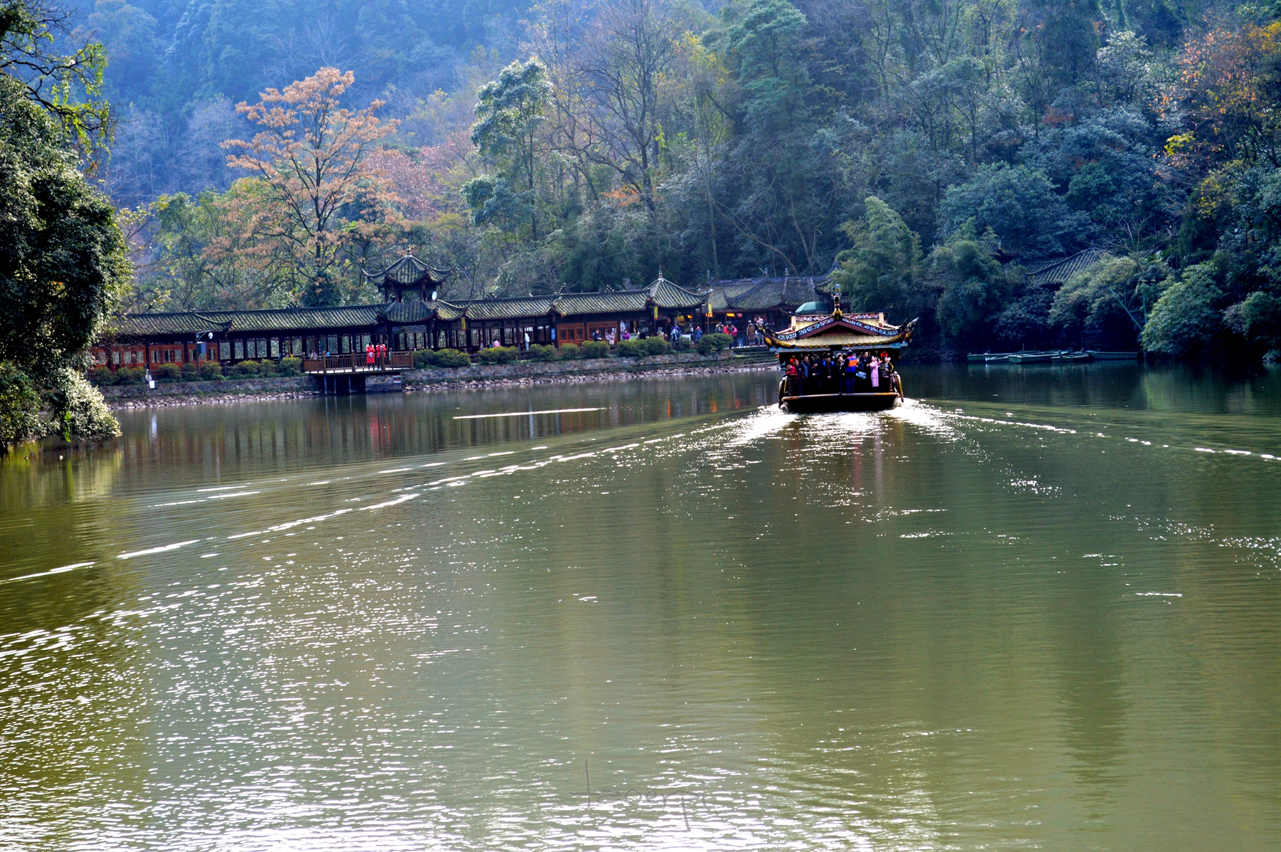 问道青城山 青城天下幽