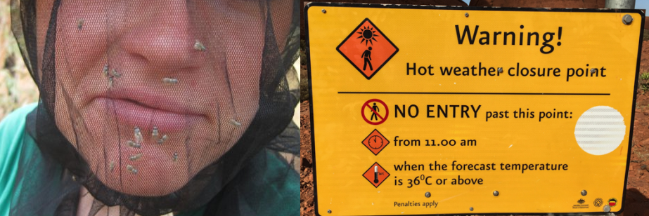 乌鲁鲁的天气怎样