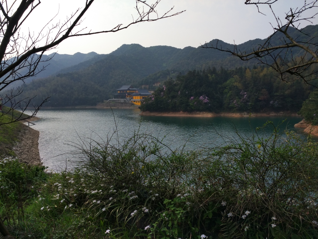 浏阳道吾山穿越挖笋