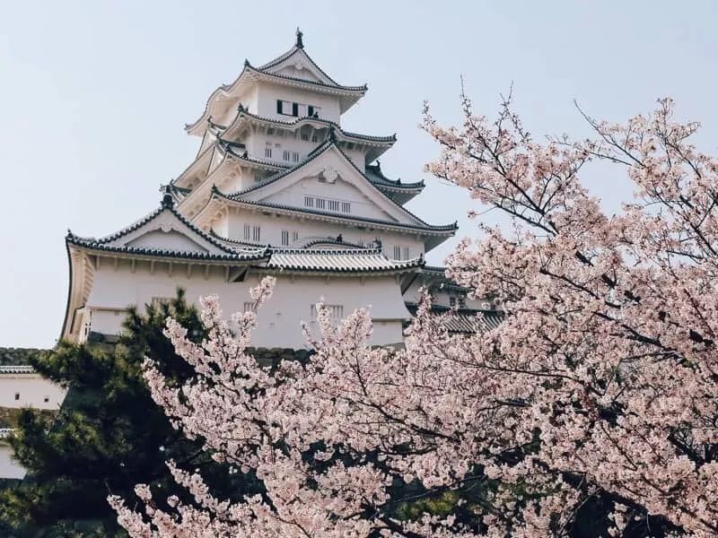 潜派旅行