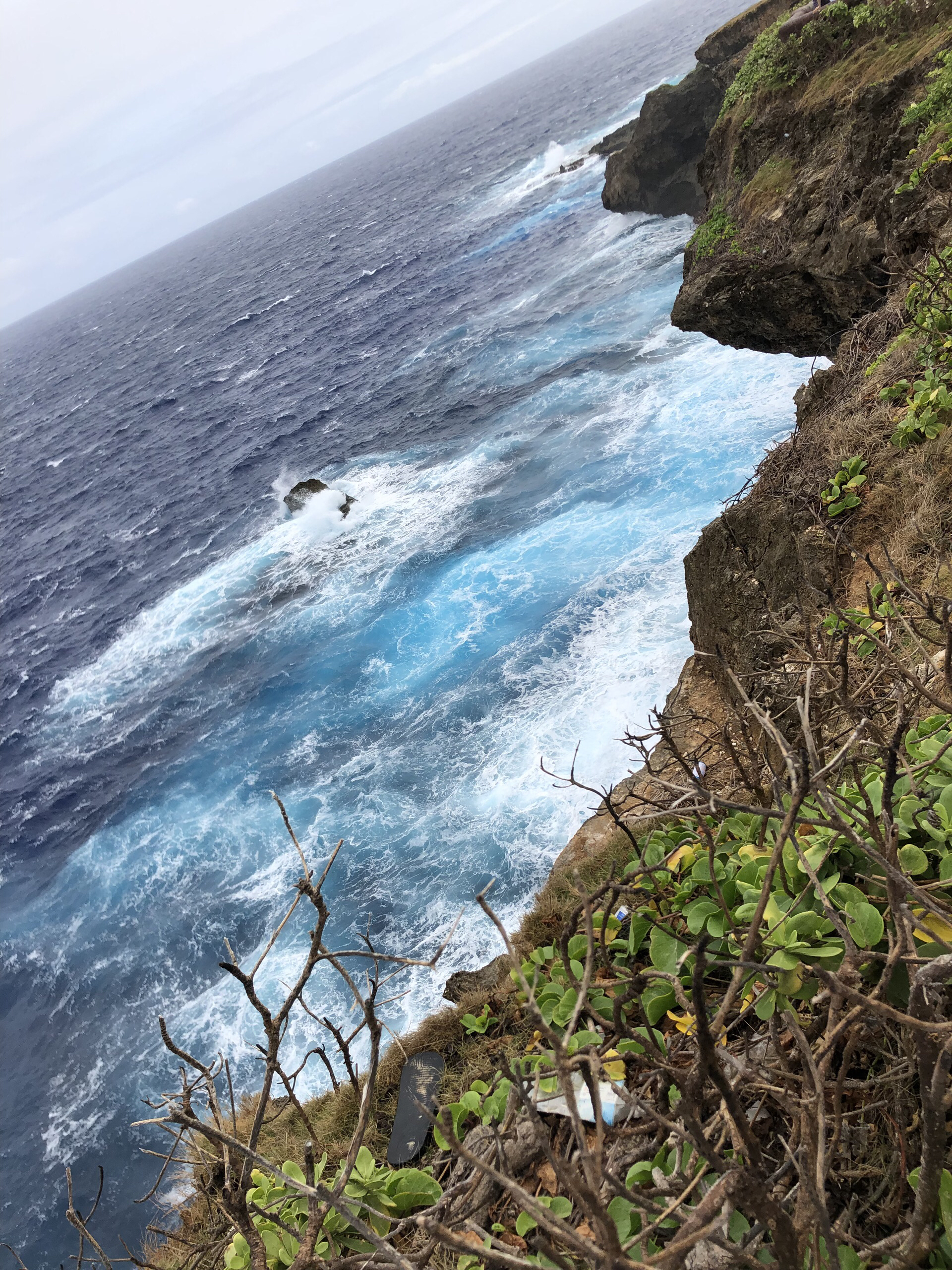 北马里亚纳群岛美食-Cha Saipan