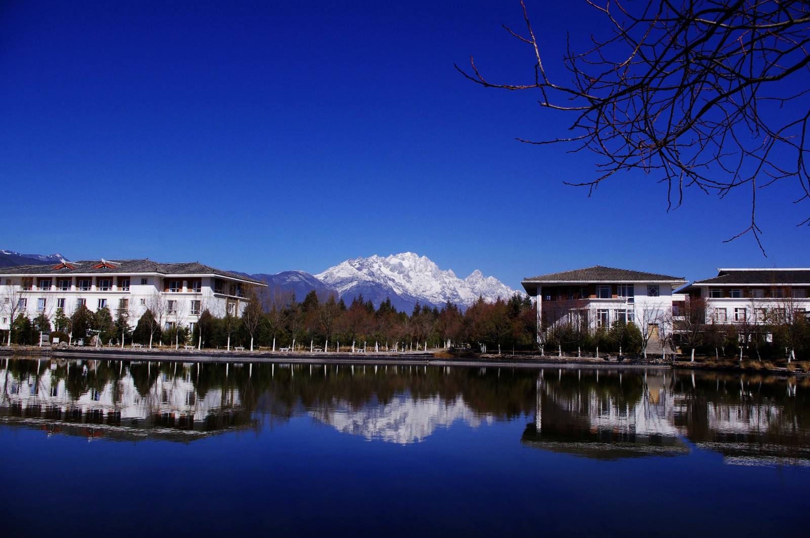 云大旅游学院全称云南大学旅游文化学院,学院校