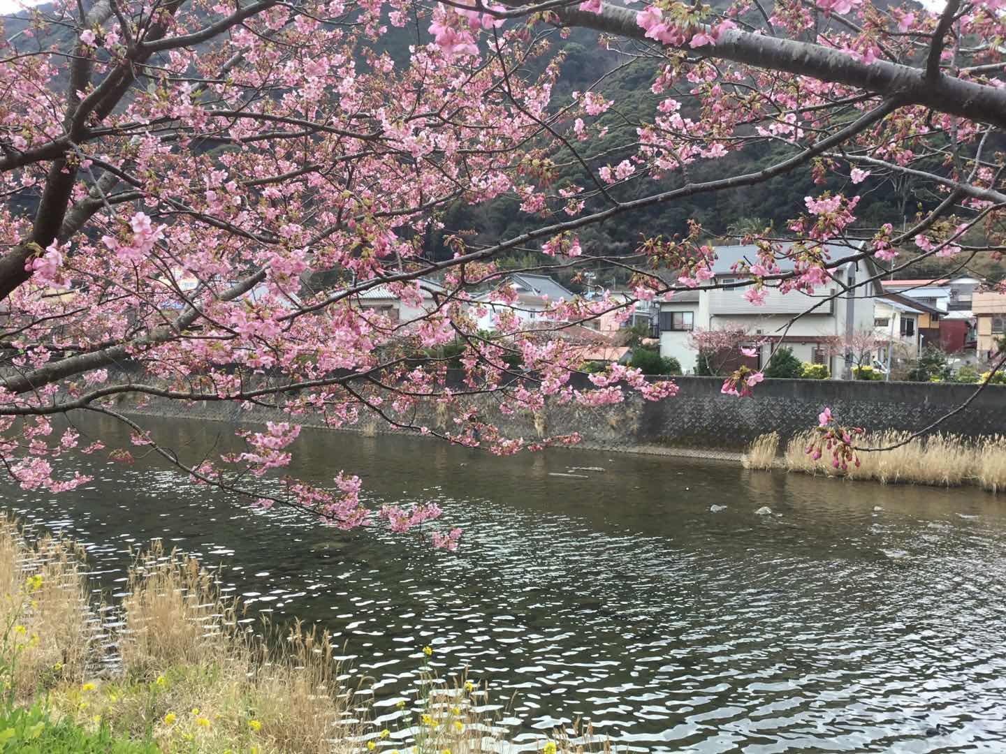 潜派旅行