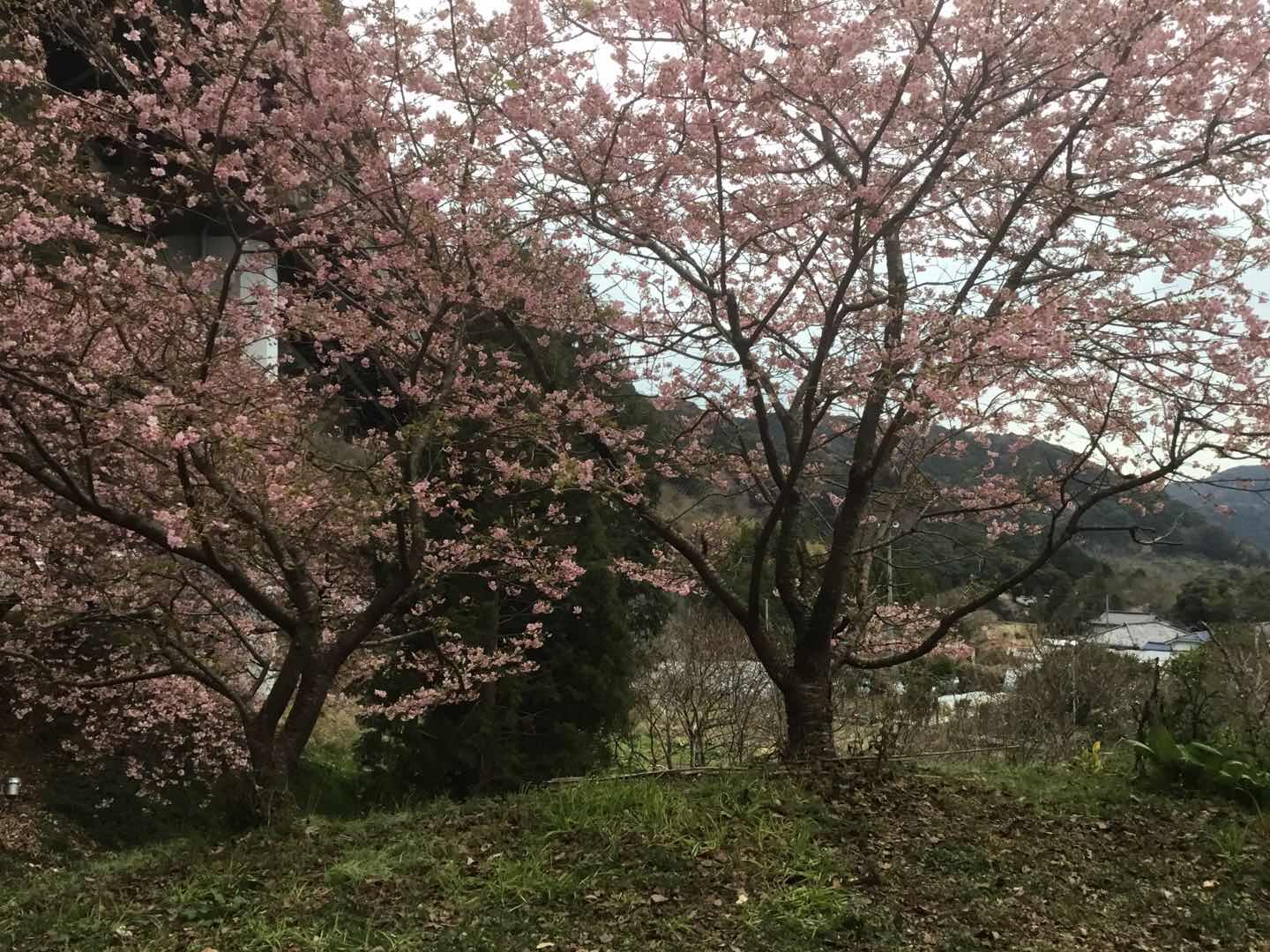 潜派旅行