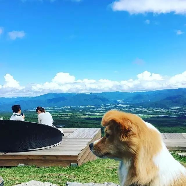 潜派旅行