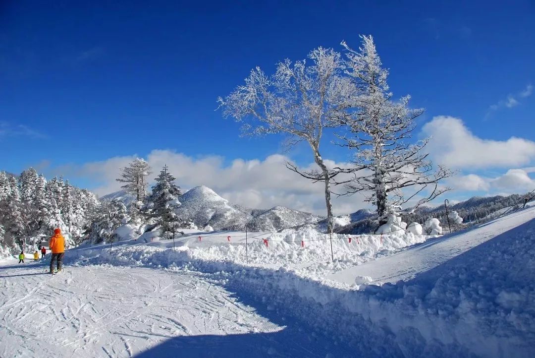 潜派旅行