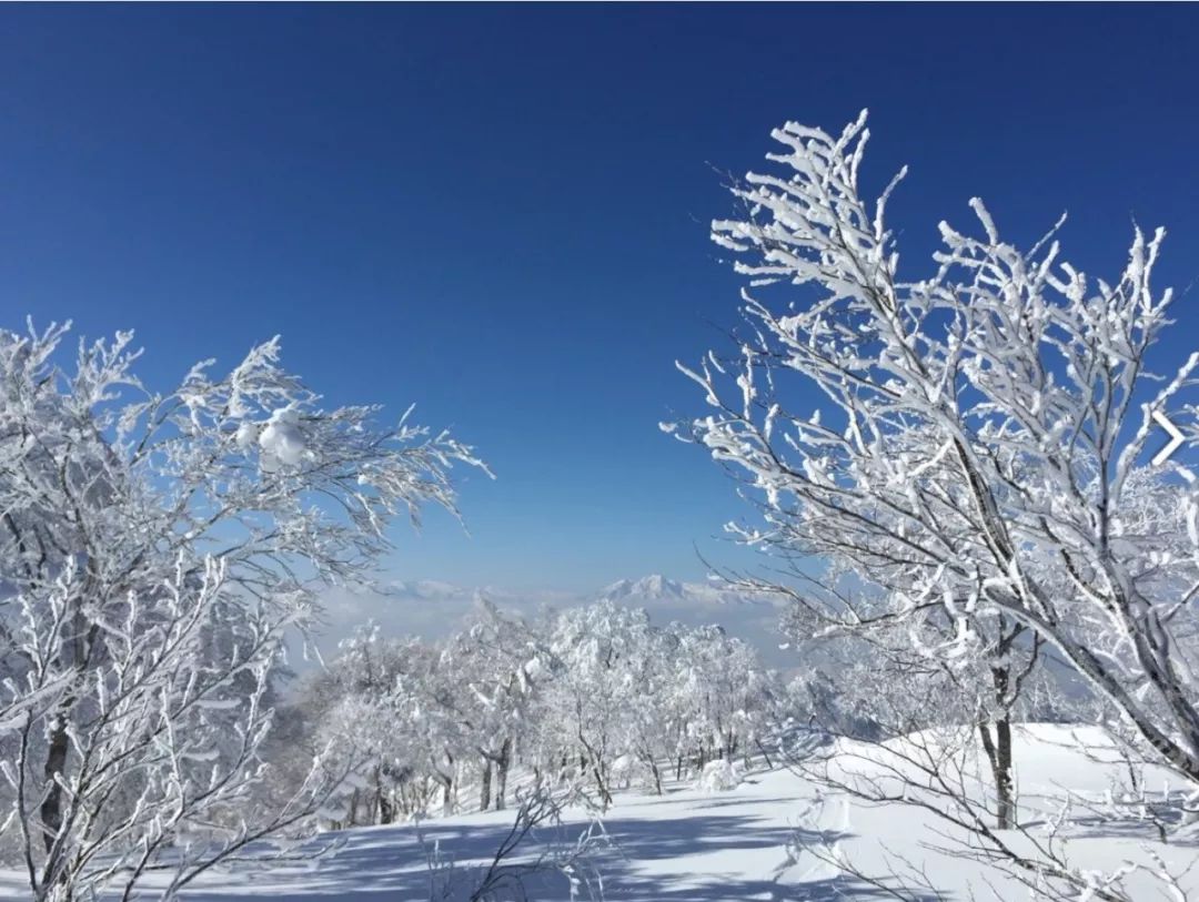 潜派旅行