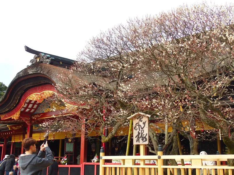 潜派旅行