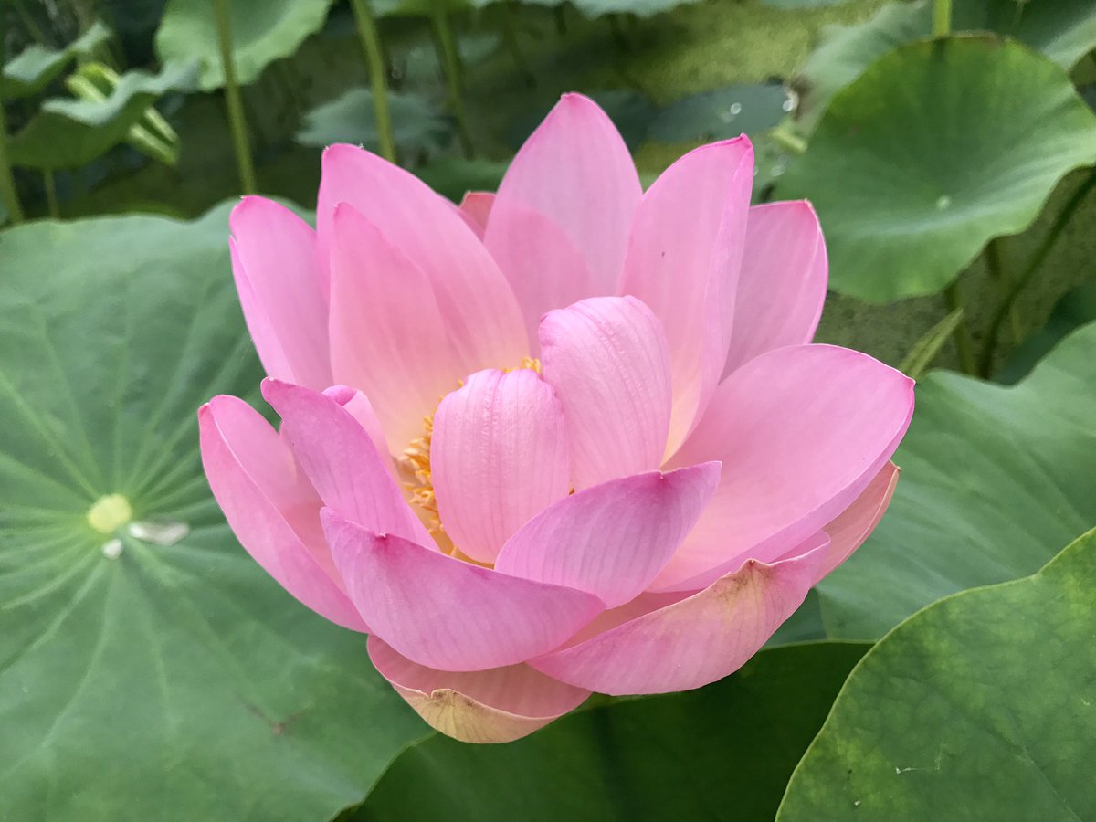 潜派旅行