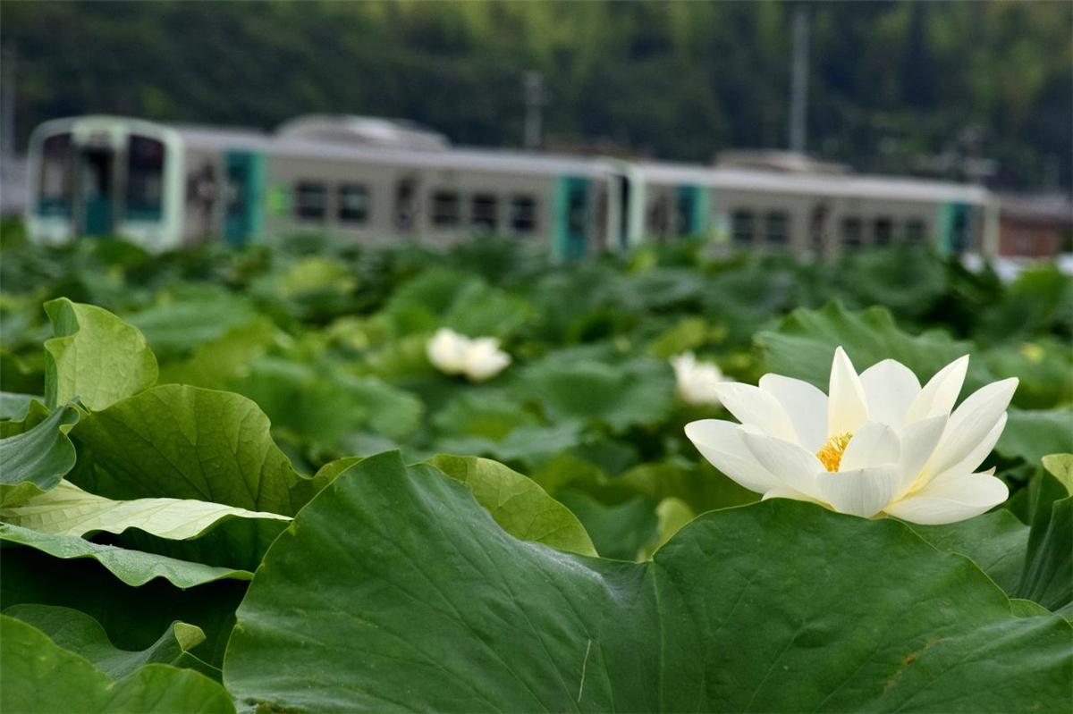 潜派旅行