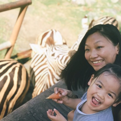 暴躁妈妈想留学