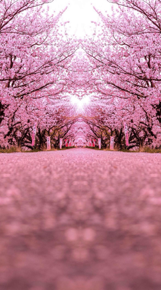 潜派旅行